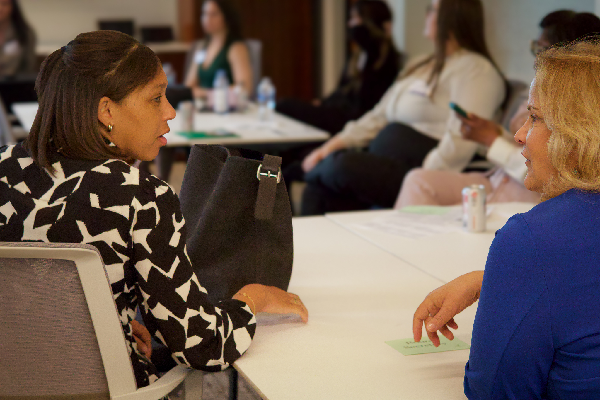 Two directors in conversation at a Vela board session